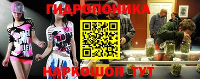 индика Краснознаменск