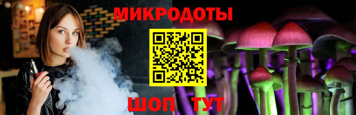 Псилоцибиновые грибы Cubensis Каменка